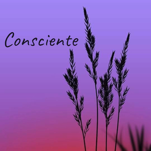 Consciente