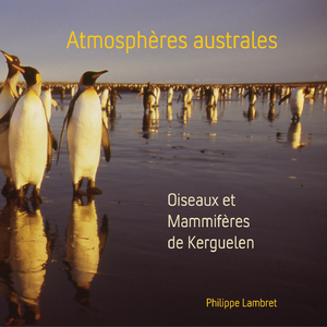 Cormorans de kerguelen - défécation