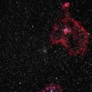 【FREE BEAT】’chamber‘