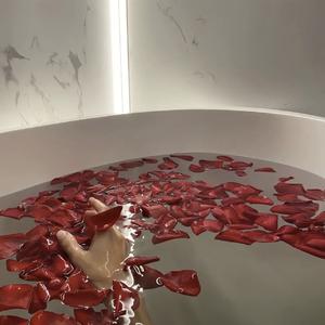 Hypnotized（0.8X）