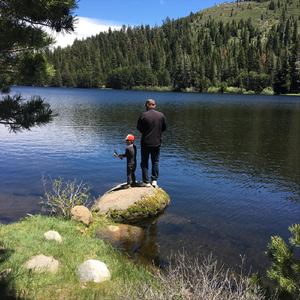 The Backwood Shiver Spine