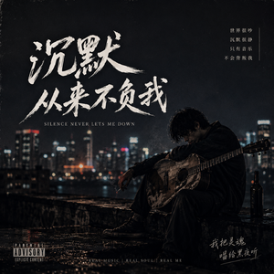 沉默向来不负我