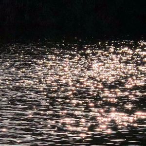 我怕你已走又怕你未至