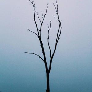 SevenGurusFamily-陪着你走（我们别时和见时不同 / 月亮 remix）