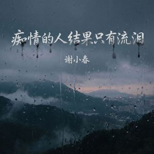 痴情的人结果只有流泪