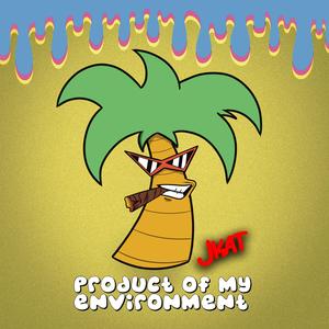 Product Of My Environment