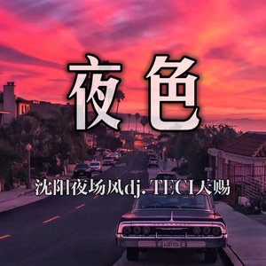 夜色（DJ天赐版）