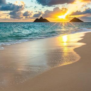 我喜欢上你时的内心活动