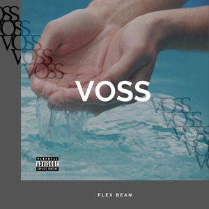 Voss
