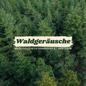 Waldgeräusche