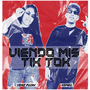 Viendo Mis Tiktok