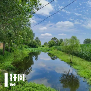 毛线团滚过地毯