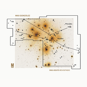 Divinidades Andinas (Tribilin Sound Remix)