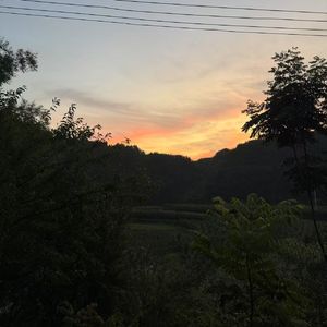 夏天的橘子汽水
