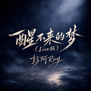 醒不来的梦(live版)