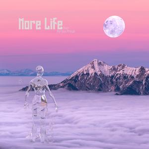 More Life (feat. Persian Prince)