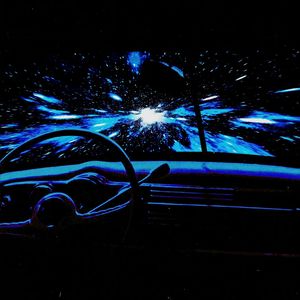 很多鸟陪我飞过太平洋