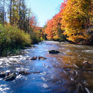 渭水秋歌 (笛子版)