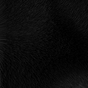 情诗，雨（prod by Lisure)