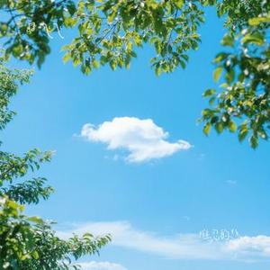 难忍的悲 (Cover 雷婷)