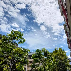 西街的夏天(summer ends on Changsong road)