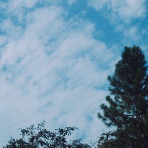 彩虹岛的冒险 (治愈纯音乐)