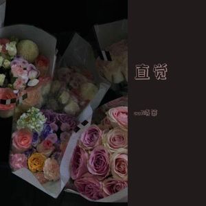 直觉(女版)（翻自 李学仕）