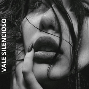 VALE SILENCIOSO