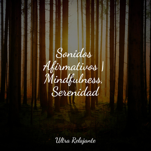 Reinando En Concentración