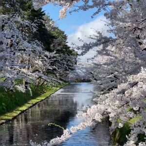 “你的名字”Lil Tjay X Toosii Type Beat