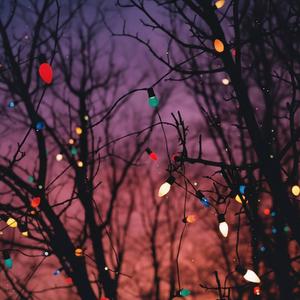 holly sunset (feat. evere)