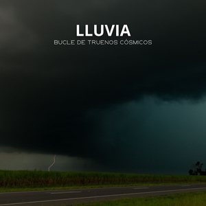 Personalidad Orgánica