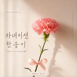 카네이션 한송이