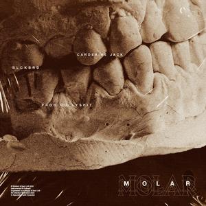 MOLAR
