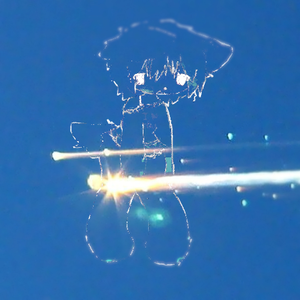 YOU COULDN'T KILL ME IF YOU TRIED!