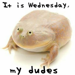 It is Wednesday My Dudes