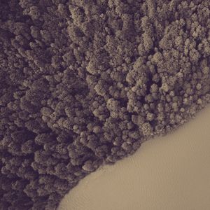 抚慰的在家休息回忆