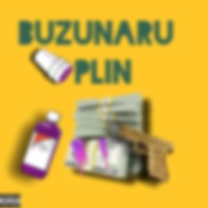 Buzunaru Plin