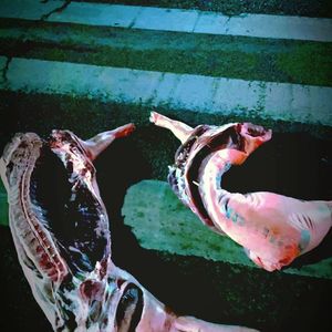 你是蝴蝶我是蛆