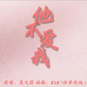 他不爱我（r&b版）