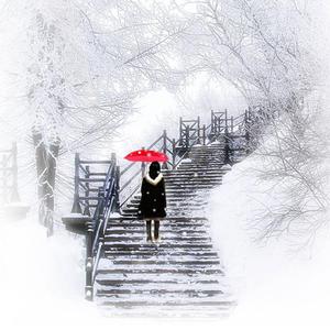 你的雪，落在我思念的城