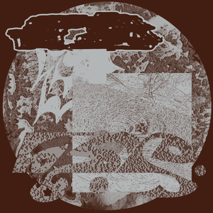 スカイサーファー