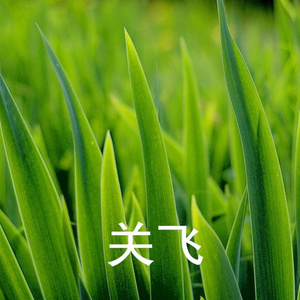 只要你开心就好