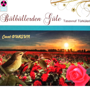 Derdin Nedir Deli Gönül