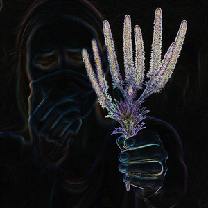 Алергія на амброзію 3