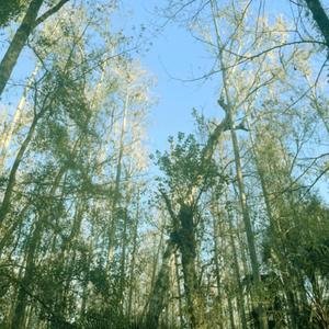 haki (feat. itsarctic)