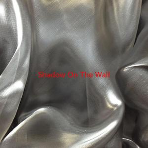 Shadow On The Wall (Complete version originally performed by Mike Oldfield)