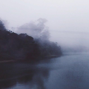 太平洋西岸的歌