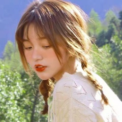 如真如假 (DJ版)