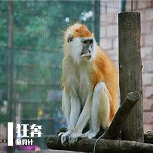 雨打梨花深闭门